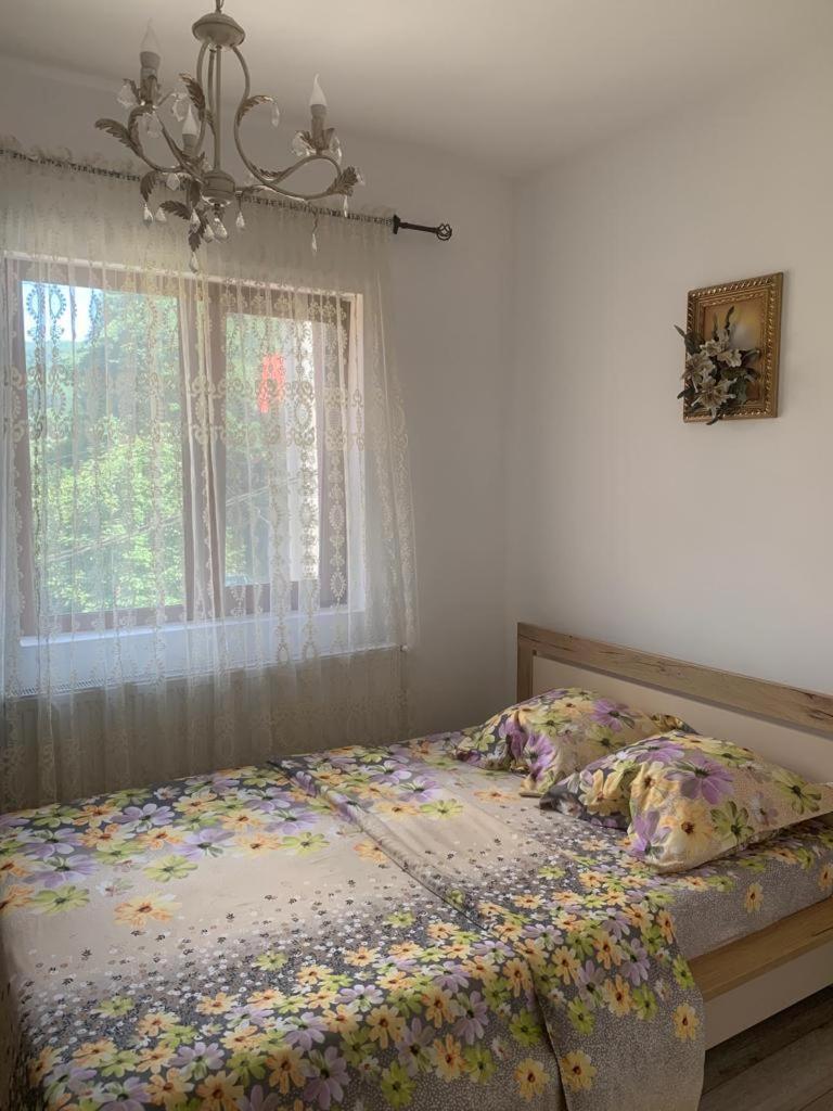 B House Busteni Luaran gambar